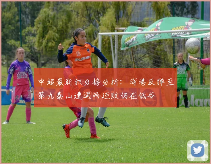 中超最新积分榜分析：海港反弹至第九泰山遭遇两连败仍在低谷